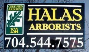 Logo for HALAS ARBORISTS