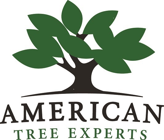 Logo for AMERICAN TREE EXPERTS