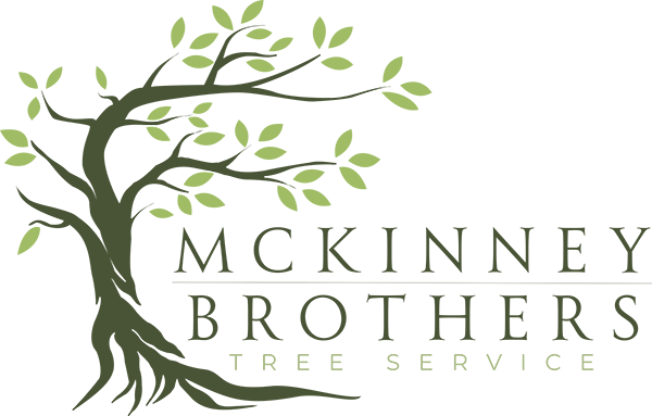 Logo for McKinney Brothers Tree Services