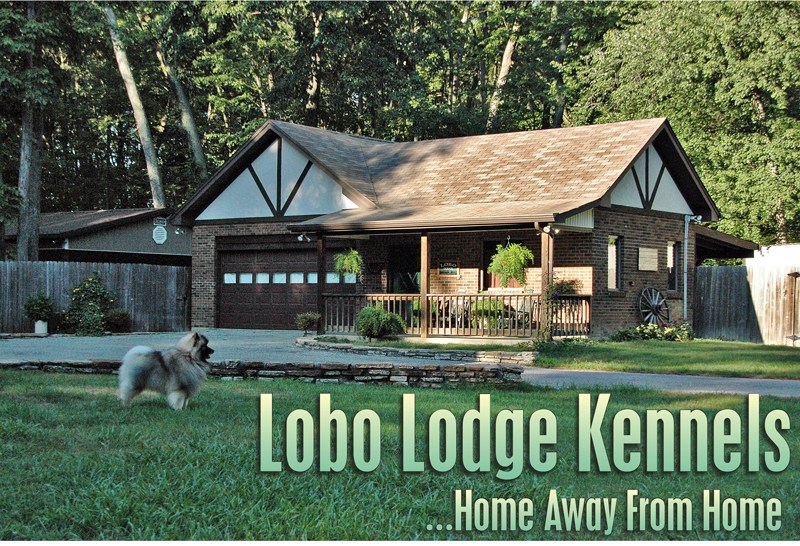Logo for LOBO LODGE KENNELS