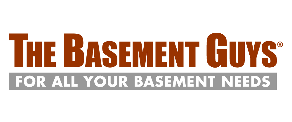 Logo for The Basement Guys