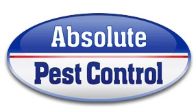 Logo for ABSOLUTE PEST CONTROL