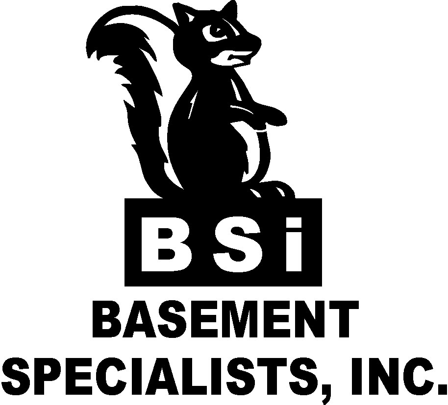 Logo for BASEMENT SPECIALISTS INC
