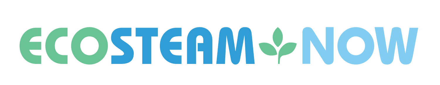 Logo for ECOSTEAM NOW