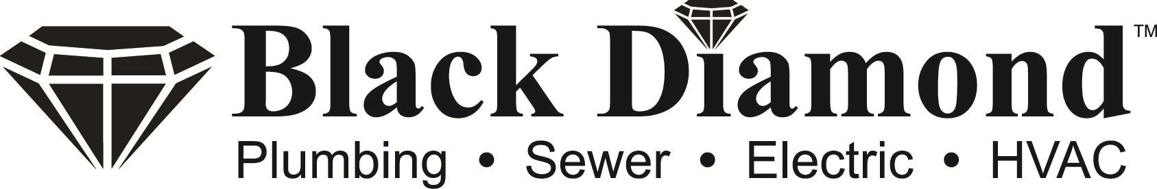 Avatar for Black Diamond Plumbing & Mechanical Inc