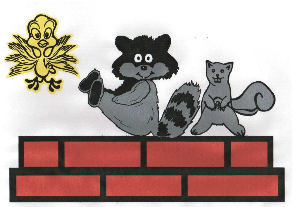 Logo for Complete Chimney Service Inc