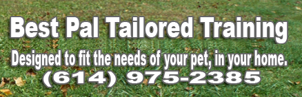 Best Pal Tailored Dog Training logo