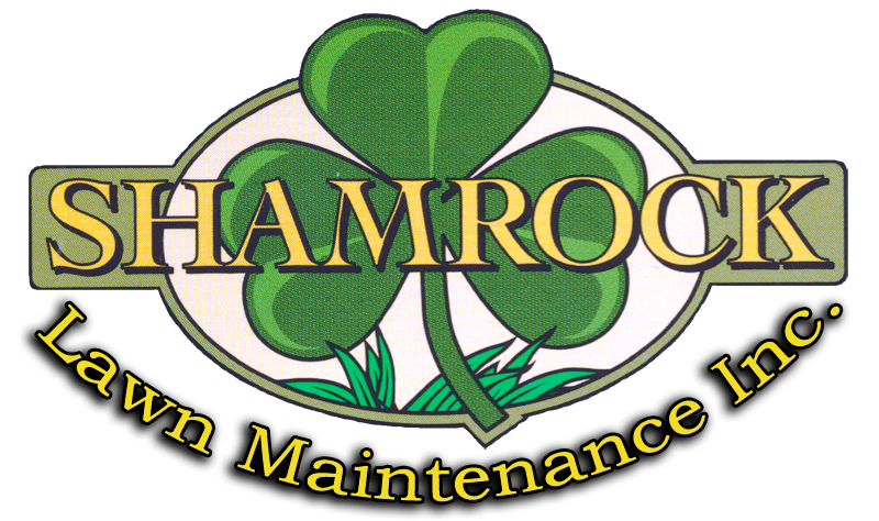 Shamrock Lawn Maintenance logo