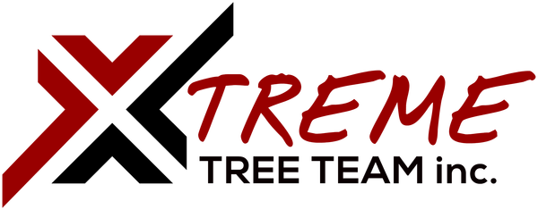 Logo for XTREME TREE TEAM