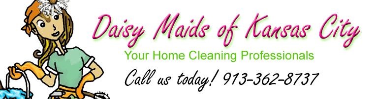 Logo for Daisy Maids of Kansas City LLC