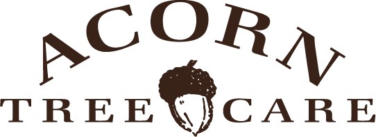 Logo for Acorn Tree Care