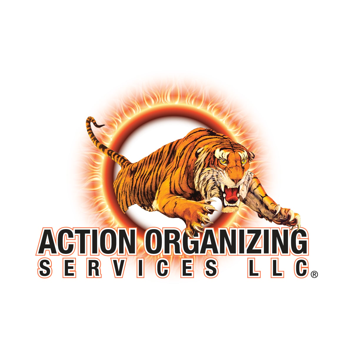 Logo for Action Organizing Services LLC