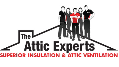 THE ATTIC EXPERTS logo