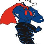 Logo for THE DUCT MAN OF ATLANTA