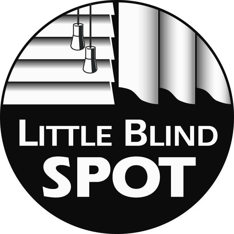 Little Blind Spot logo