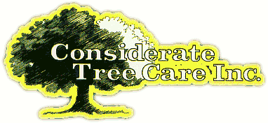 Logo for Considerate Tree Care Inc