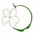 Apple Blossom Landscape Concepts Inc logo