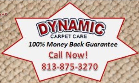 Logo for Dynamic Carpet Care
