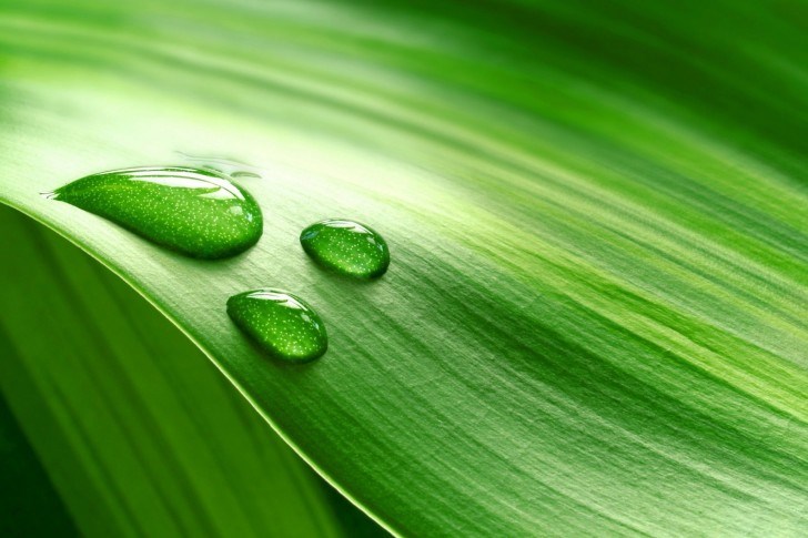 Logo for Johns Palms Landscaping