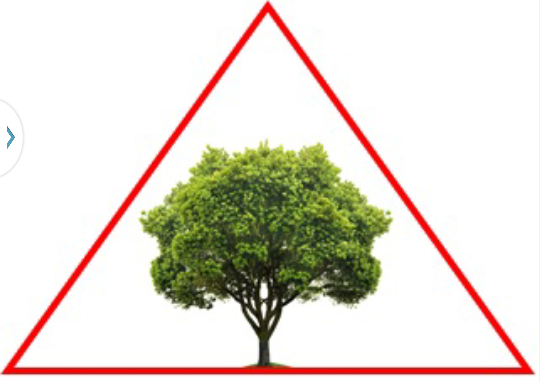 TRIANGLE TREE SERVICE & LANDSCAPING INC logo