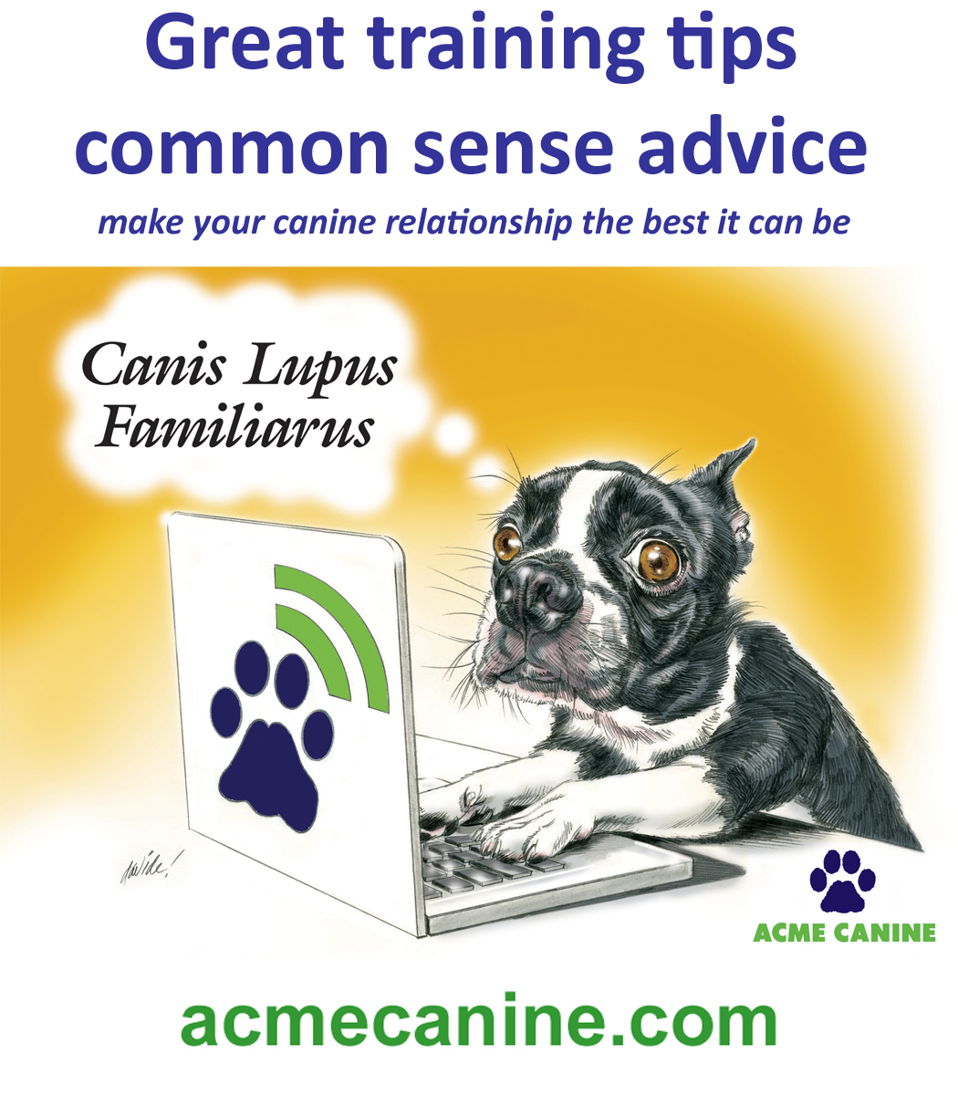 Logo for ACME CANINE LLC