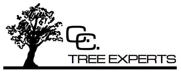 Avatar for CC TREE EXPERTS