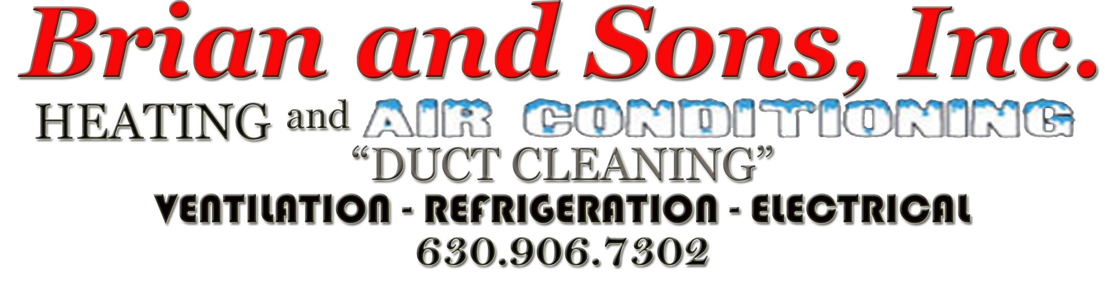 Logo for Brian and Sons INC.