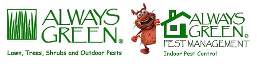Avatar for Always Green Inc