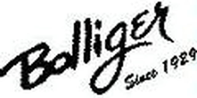 Bolliger Window Fashions & Interiors logo