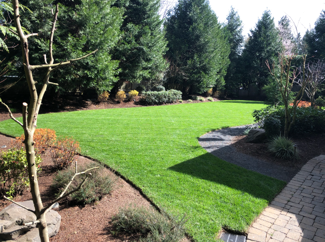Avatar for Juan's Landscape Maintenance