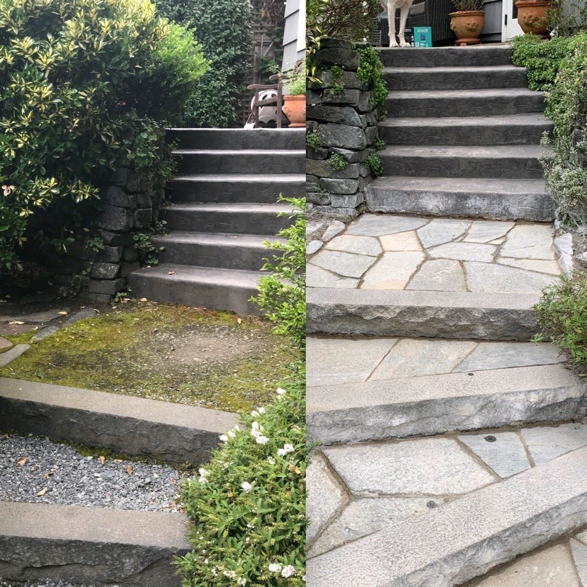 Logo for Le's Landscape & Yard Work
