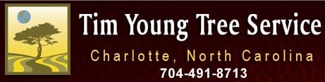 Avatar for Tim Young Tree Service