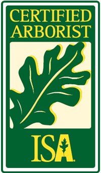 Avatar for Tim Young Tree Service