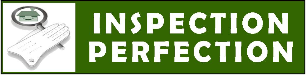 Logo for Inspection Perfection