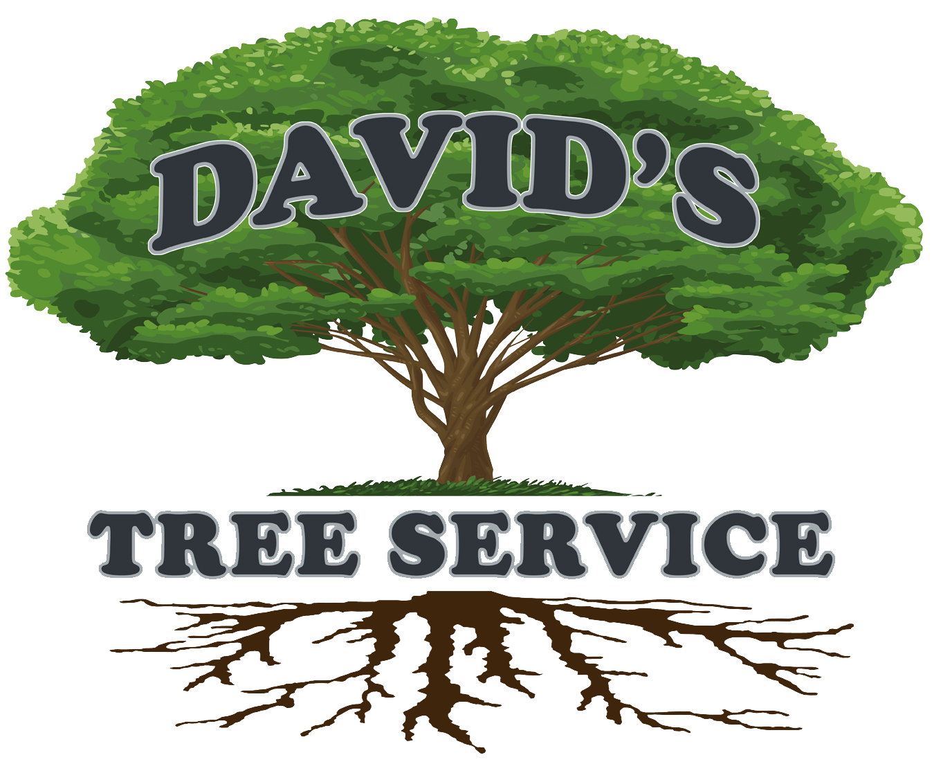 Logo for David's Tree Service