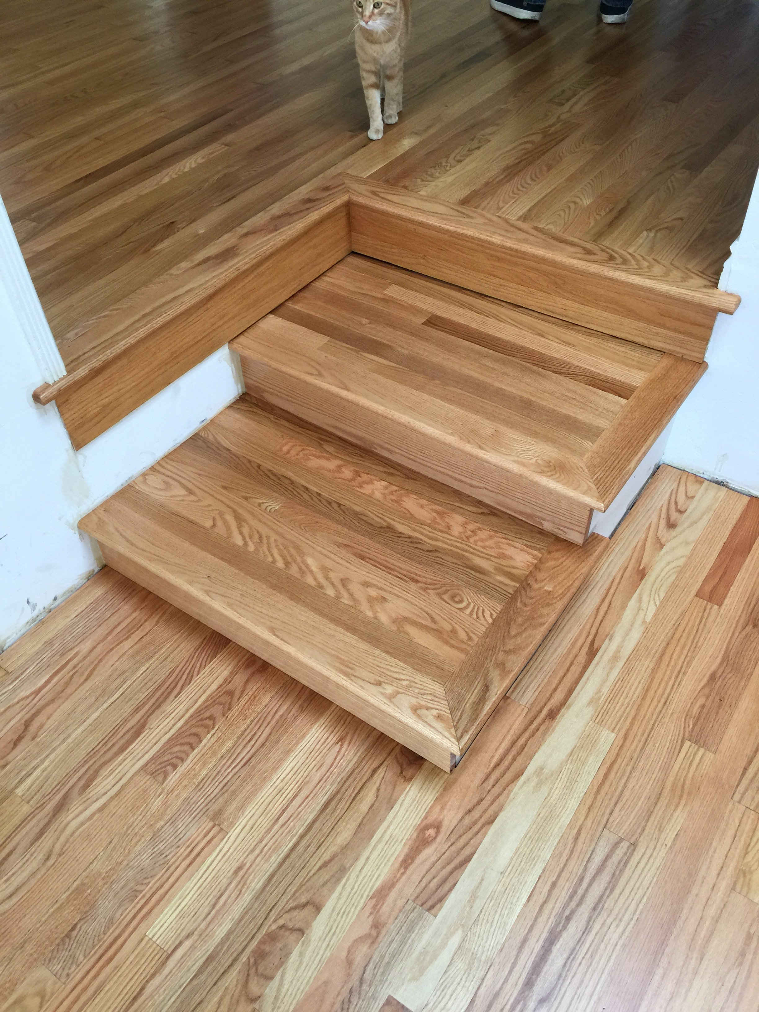 Logo for Joes hardwood floors