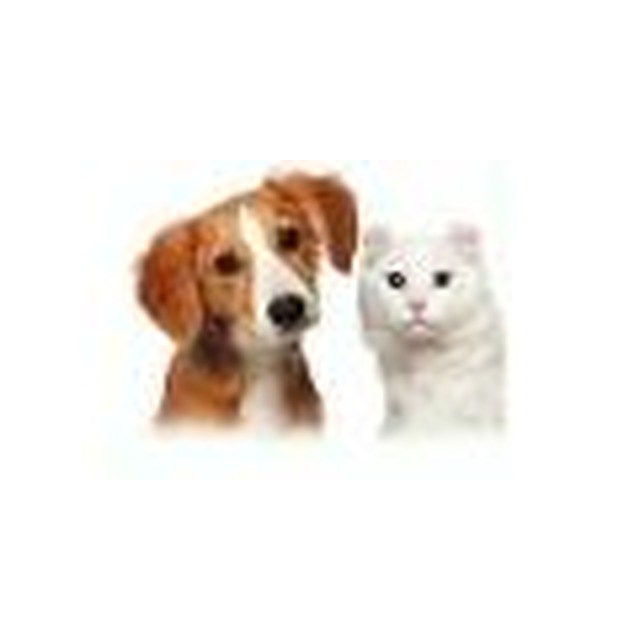 Logo for Larpenteur Animal Hospital