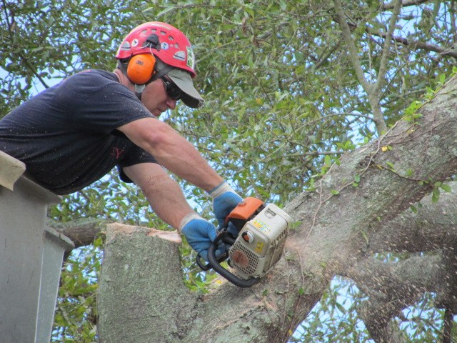 Logo for Yutzy Tree Service