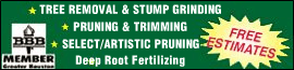 Logo for TOMMYS TREE SERVICE