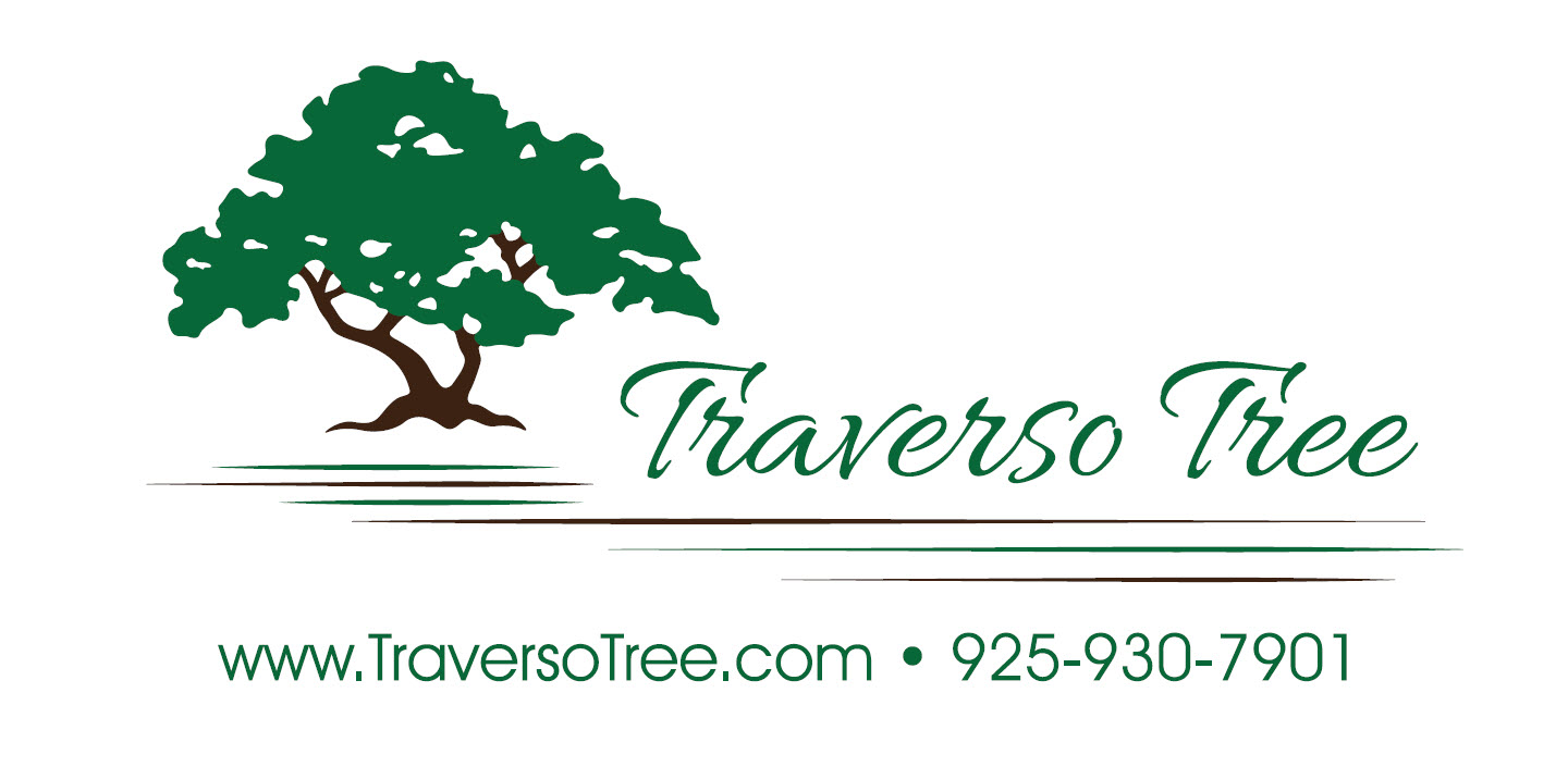 Logo for Traverso Tree Service, Inc
