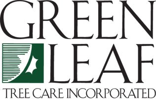 Logo for GREEN LEAF TREE CARE Inc.
