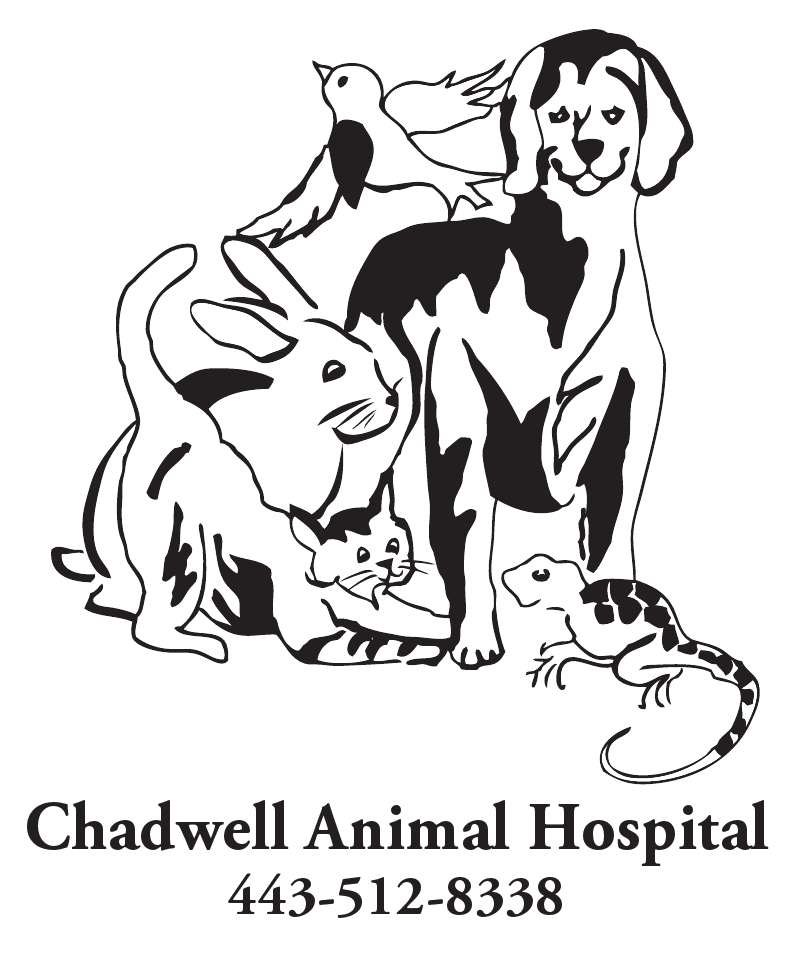 Logo for CHADWELL ANIMAL HOSPITAL