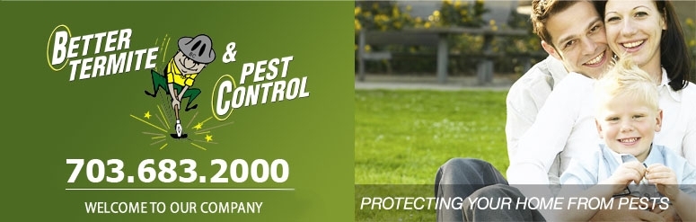 Logo for Better Termite & Pest Control
