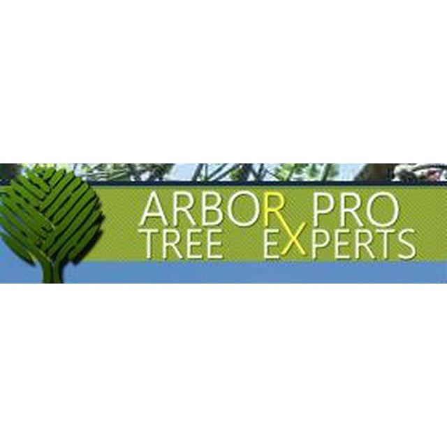 Logo for Arbor Pro Tree Experts