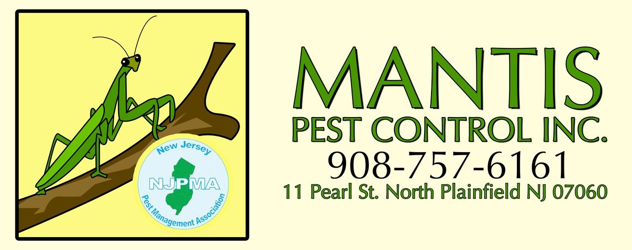 Logo for MANTIS PEST CONTROL CO