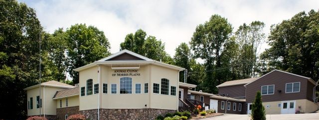 Logo for Animal Clinic of Morris Plains LLC