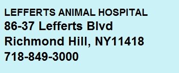 Logo for Lefferts Animal Hospital