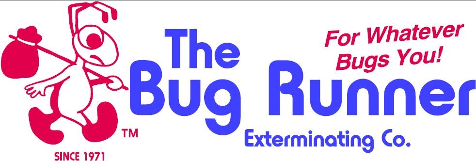 Logo for Bug Runner