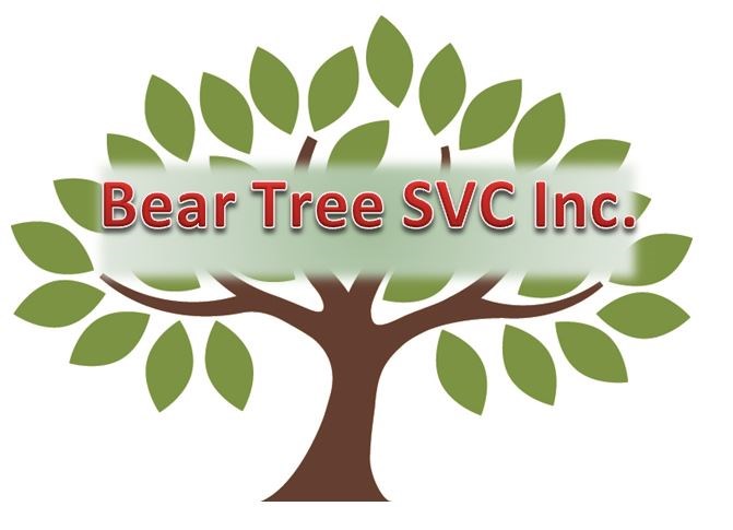 Logo for Bear Tree Svc Inc