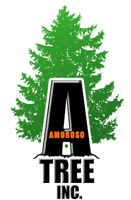 Logo for Amoroso Tree Svc Inc